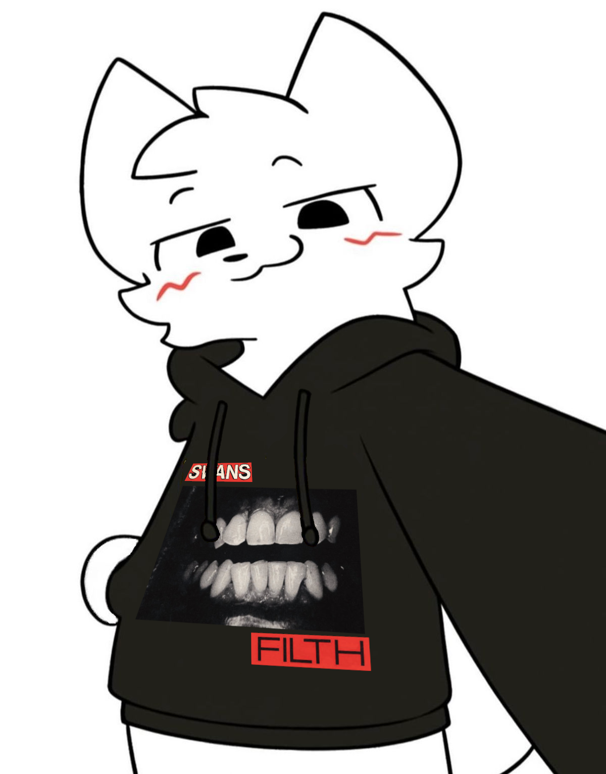 Boykisser with a hoodie with art from the SWANS album FILTH on it